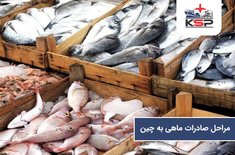 مراحل صادرات ماهی به چین