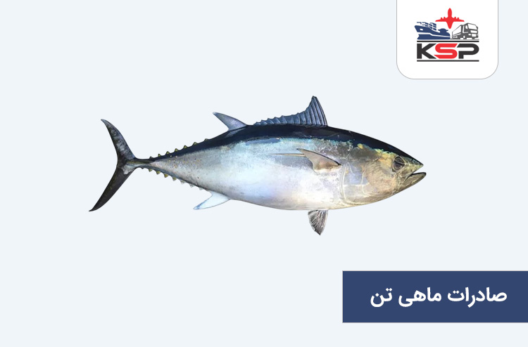 صادرات ماهی تن